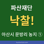[파산재단] 아산시 문방리 농지 ①｜유찰 끝에 280만원 수의계약